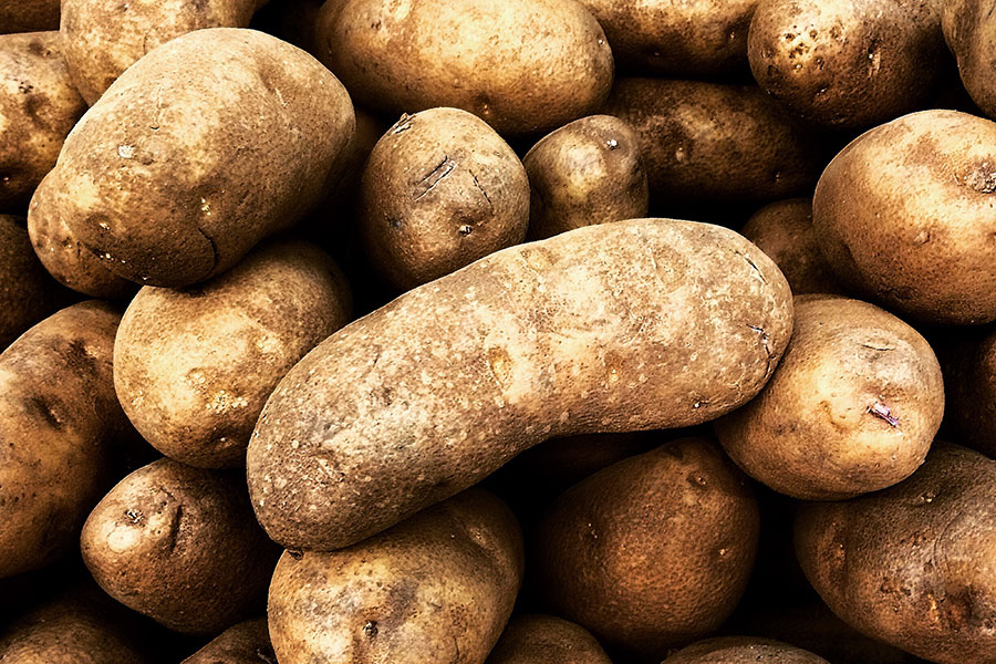 Kartoffeln aus der Region Bünde